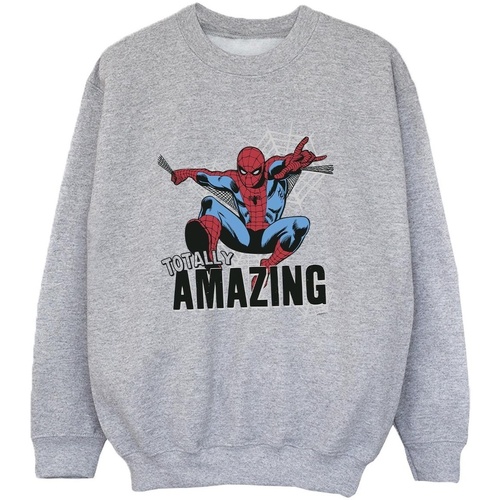 Vêtements Garçon Sweats Marvel Spider-Man Amazing Gris
