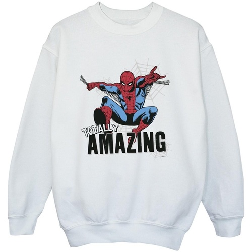 Vêtements Garçon Sweats Marvel Spider-Man Amazing Blanc