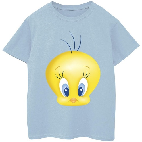 Vêtements Fille T-shirts manches longues Dessins Animés Tweety Face Bleu
