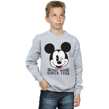 Vêtements Garçon Sweats Disney Mickey Mouse Since 1928 Gris