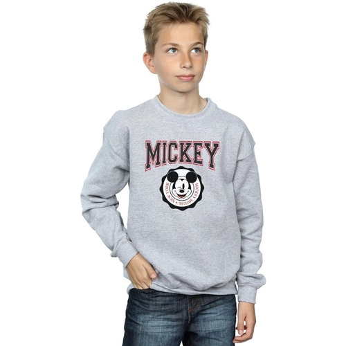 Vêtements Garçon Sweats Disney Mickey Mouse New York Seal Gris