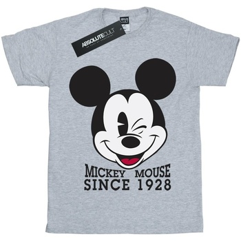 Vêtements Garçon T-shirts manches courtes Disney Mickey Mouse Since 1928 Gris