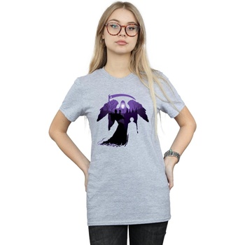 Vêtements Femme T-shirts manches longues Harry Potter Graveyard Silhouette Gris