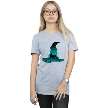Vêtements Femme T-shirts manches longues Harry Potter Hogwarts Silhouette Gris