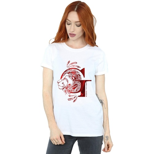 Vêtements Femme T-shirts manches longues Harry Potter Gryffindor Lion Blanc