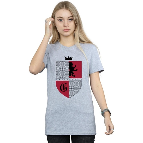 Vêtements Femme T-shirts manches longues Harry Potter Gryffindor Shield Gris