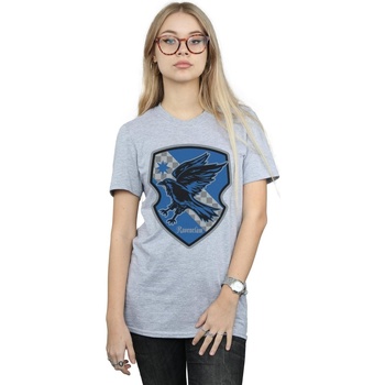 Vêtements Femme T-shirts manches longues Harry Potter Bougeoirs / photophores Gris