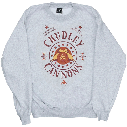 Vêtements Homme Sweats Harry Potter Chudley Cannons Logo Gris