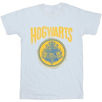Vêtements Femme T-shirts manches longues Harry Potter Utilisez au minimum 8 caractères Blanc