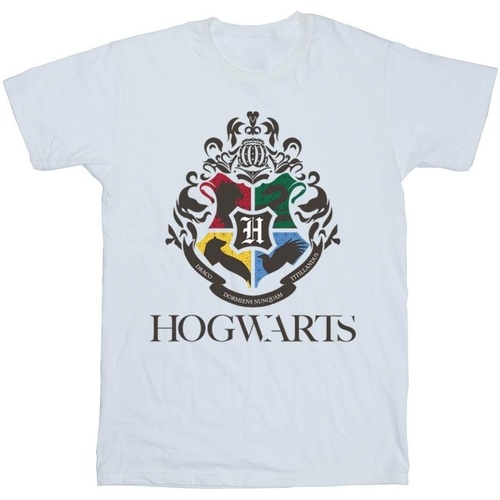 Vêtements Femme T-shirts manches longues Harry Potter Hogwarts Crest Blanc