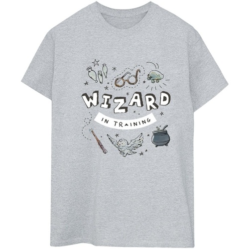 Vêtements Femme T-shirts manches longues Harry Potter Ellesse T-shirt met zak in grijs Gris