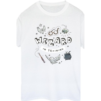 Vêtements Femme T-shirts manches longues Harry Potter Ellesse T-shirt met zak in grijs Blanc