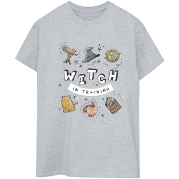Vêtements Femme T-shirts manches longues Harry Potter Witch In Training Gris