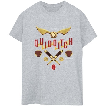 Vêtements Femme T-shirts manches longues Harry Potter Quidditch Golden Snitch Gris