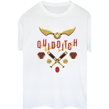 Vêtements Femme T-shirts manches longues Harry Potter Quidditch Golden Snitch Blanc