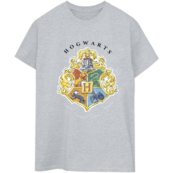 Vêtements Femme T-shirts manches longues Harry Potter Fitness / Training Gris
