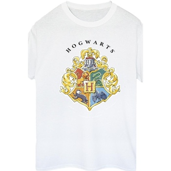 Vêtements Femme T-shirts manches longues Harry Potter Fitness / Training Blanc