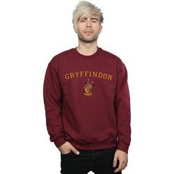 Vêtements Homme Sweats Harry Potter Gryffindor Crest Multicolore