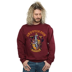Vêtements Homme Sweats Harry Potter Gryffindor Crest Multicolore