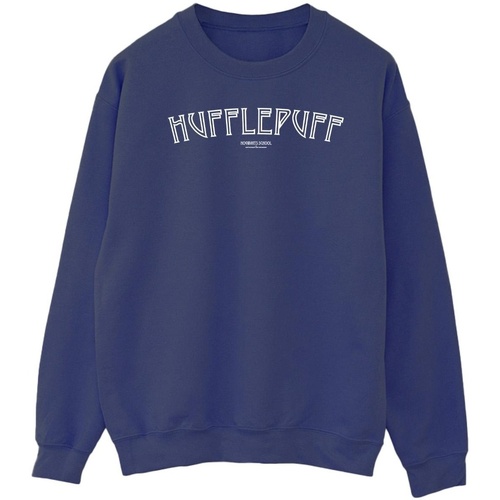 Vêtements Homme Sweats Harry Potter Hufflepuff Logo Bleu