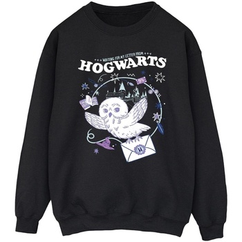 Vêtements Homme Sweats Harry Potter Owl Letter From Hogwarts Noir
