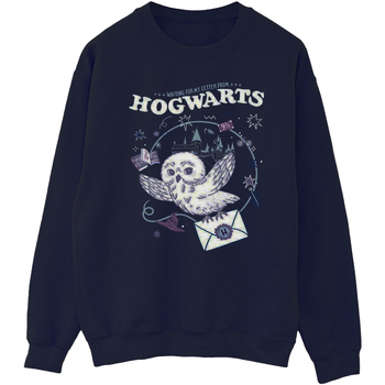Vêtements Homme Sweats Harry Potter Owl Letter From Hogwarts Bleu