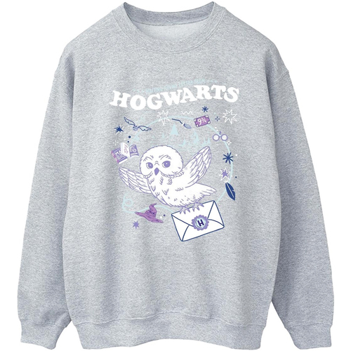 Vêtements Homme Sweats Harry Potter Owl Letter From Hogwarts Gris