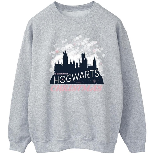 Vêtements Homme Sweats Harry Potter Hogwarts Christmas Gris