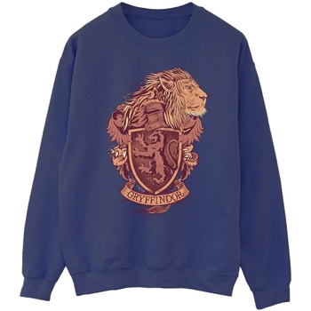Vêtements Homme Sweats Harry Potter Gryffindor Sketch Crest Bleu