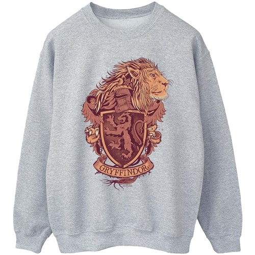 Vêtements Homme Sweats Harry Potter Gryffindor Sketch Crest Gris