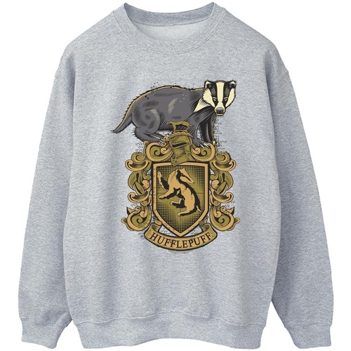 Vêtements Homme Sweats Harry Potter Hufflepuff Sketch Crest Gris