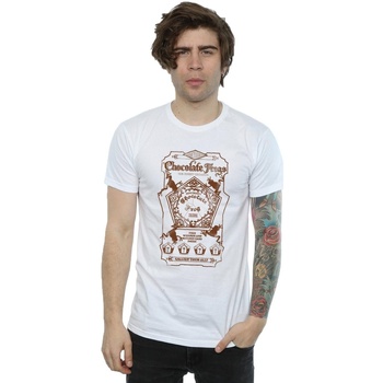 Vêtements Homme T-shirts manches longues Harry Potter Chocolate Frogs Mono Label Blanc