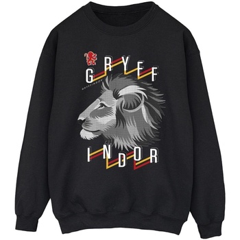 Vêtements Homme Sweats Harry Potter Gryffindor Lion Icon Noir