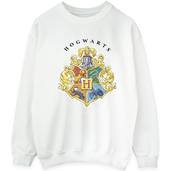 Vêtements Homme Sweats Harry Potter Hogwarts School Emblem Blanc