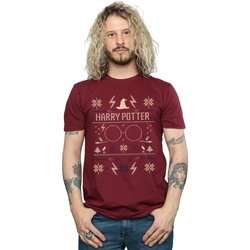 Vêtements Homme T-shirts manches longues Harry Potter Christmas Pattern Multicolore