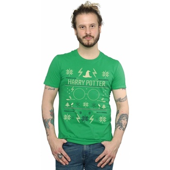 Vêtements Homme T-shirts manches longues Harry Potter Christmas Pattern Vert