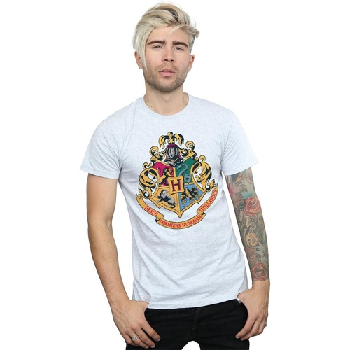 Vêtements Homme T-shirts manches longues Harry Potter Voir toutes les ventes privées Gris