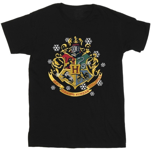 Vêtements Homme T-shirts manches longues Harry Potter Christmas Crest Noir