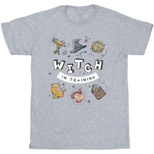 Vêtements Homme T-shirts manches longues Harry Potter Witch In Training Gris