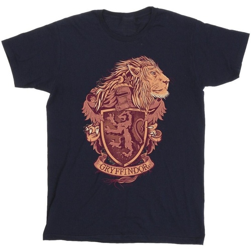 Vêtements Homme T-shirts manches longues Harry Potter Gryffindor Sketch Crest Bleu