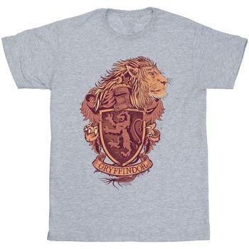 Vêtements Homme T-shirts manches longues Harry Potter Gryffindor Sketch Crest Gris