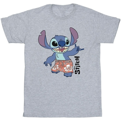 Vêtements Homme T-shirts manches courtes Disney Lilo & Stitch Bermuda Shorts Gris
