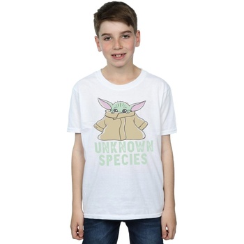 Vêtements Garçon T-shirts manches courtes Disney The Mandalorian Unknown Species Blanc