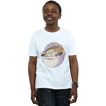 Vêtements Garçon T-shirts manches courtes Disney The Mandalorian Sleeping Child Blanc