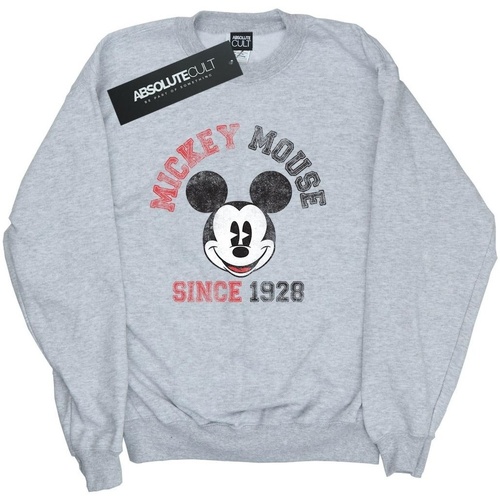 Vêtements Homme Sweats Disney Minnie Mouse Since 1928 Gris