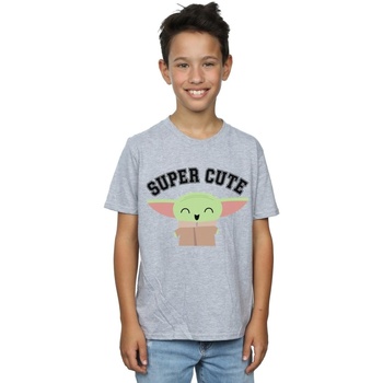 Vêtements Garçon T-shirts manches courtes Disney The Mandalorian Super Cute Gris