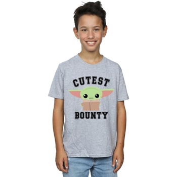 Vêtements Garçon T-shirts manches courtes Disney The Mandalorian Cutest Bounty Gris