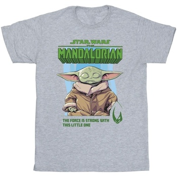 Vêtements Garçon T-shirts manches courtes Disney The Mandalorian The Force Is Strong Gris