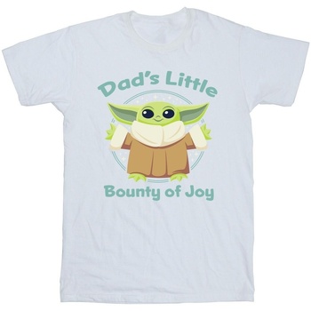 Vêtements Garçon T-shirts manches courtes Disney The Mandalorian Bounty Of Joy Blanc