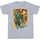 Vêtements Fille T-shirts manches longues Disney Boba Fett Collage Gris